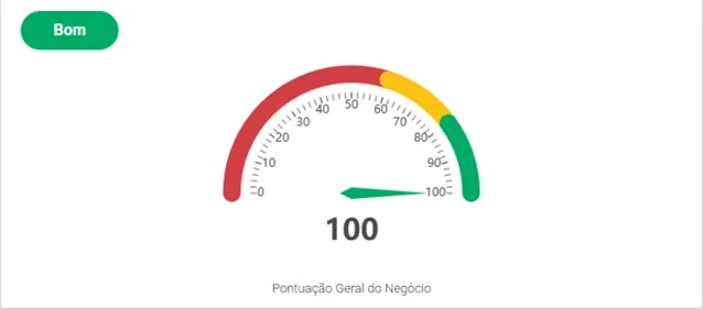 Captura real do diagnóstico de Bella Foto Campinas, com pontuação 100.