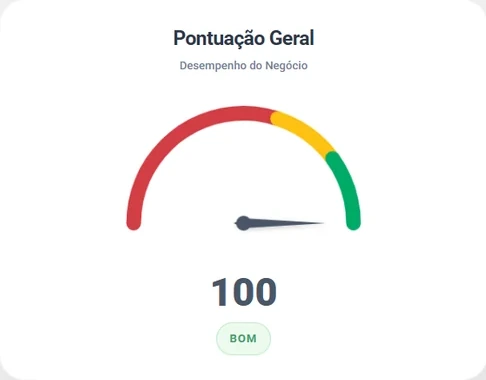 Captura real do diagnóstico de Galeteria Pasta & Gallo, com pontuação 100.